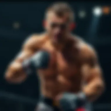 Magnificent UFC 룰과 스포츠 베팅의 이론