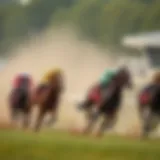 Thoroughbred racing action on the track