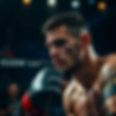 UFC 룰과 스포츠 베팅의 이론 Summary